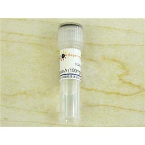 RNase A (100mg/ml, DNase free)