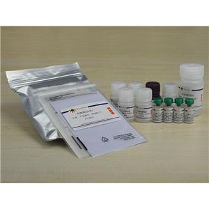 Rat IL-6 ELISA Kit