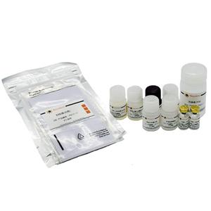 Rat IL-4 ELISA Kit