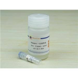 PDI Rabbit Polyclonal Antibody