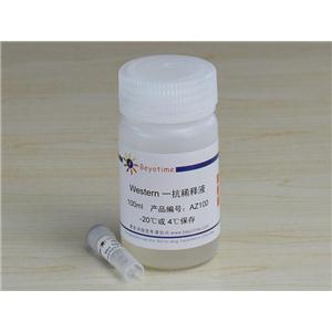 Myc Tag Mouse Monoclonal Antibody