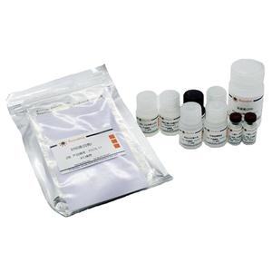 Mouse IL-2 ELISA Kit