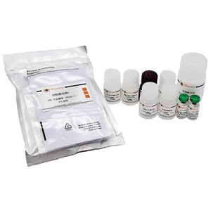 Human IL-8 ELISA Kit