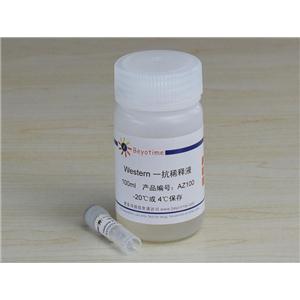 Histone H3 Mouse Monoclonal Antibody