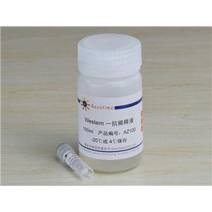 HA Tag Rabbit Polyclonal Antibody