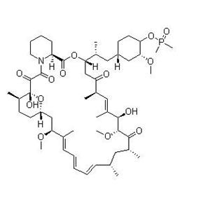 Ridaforolimus (Deforolimus, MK-8669)