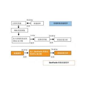 基因轉染試劑