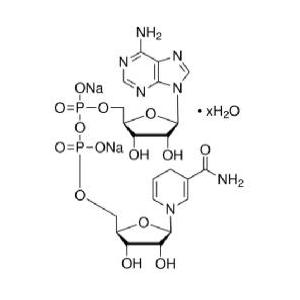 煙酰胺腺嘌呤二核苷酸（還原型）