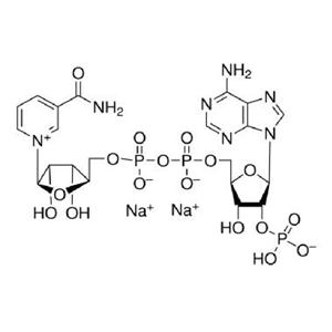 煙酰胺腺嘌呤二核苷酸磷酸二鈉鹽（氧化型）