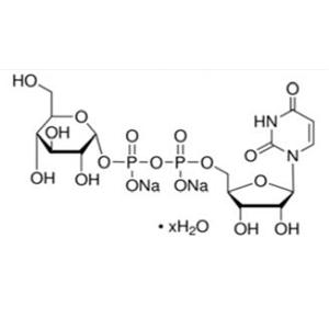 尿苷-5'-二磷酸葡萄糖二鈉鹽