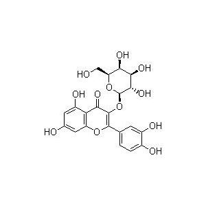 金絲桃苷；槲皮素-3-O-β-D-吡喃半乳糖苷