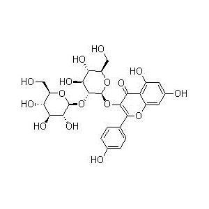 山奈酚-3-O-β-D-槐糖苷；山奈酚-3-O-槐糖苷