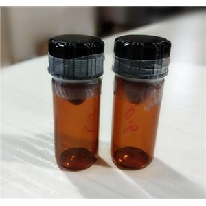環(huán)磷酸腺苷