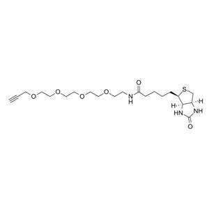 生物素-四聚乙二醇-炔烴