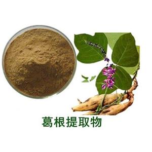 葛根素
