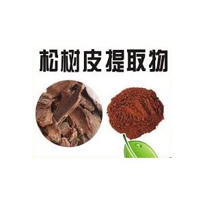 松樹(shù)皮提取物