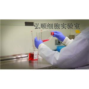 HCT-8[HRT-18] Cell<人結(jié)直腸腺癌細(xì)胞系>