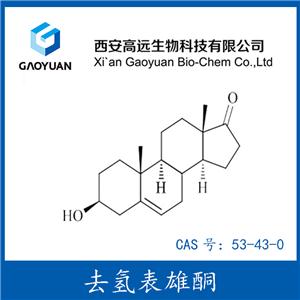 去氫表雄酮，脫氫表雄酮，DHEA