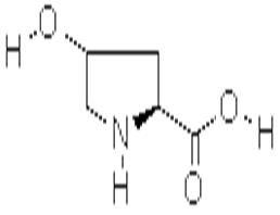 L-羥基脯氨酸