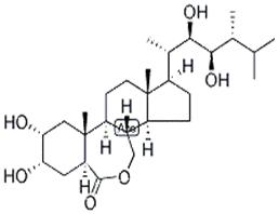 24-表蕓苔素內(nèi)酯