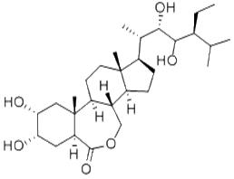 28-表高蕓苔素內(nèi)酯