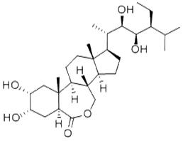 28-高蕓苔素內(nèi)酯