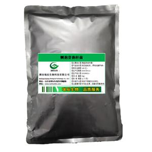 側(cè)孢芽孢桿菌