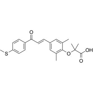 Elafibranor (GFT505