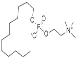 Fos-維生素B-12