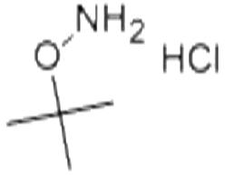O-叔丁基羥胺鹽酸鹽
