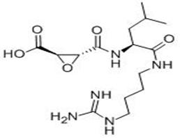 N-(反式-環(huán)氧丁二?；?-L-亮氨酸-4-胍基丁基酰胺