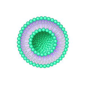 水溶性維生素D3, 維生素D3脂質(zhì)體，納米包裹維生素D3，維生素D3納米乳