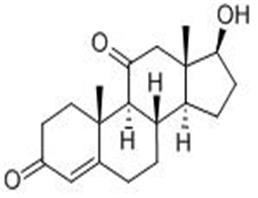 11 -酮睪酮