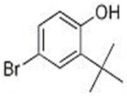 2-叔丁基-4-溴苯酚