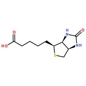 D-生物素