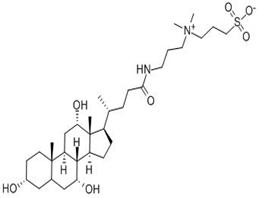 3-[3-(膽酰胺丙基)二甲氨基]丙磺酸內鹽