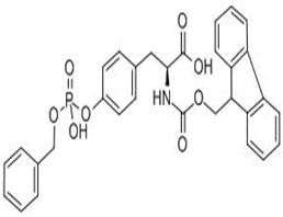 N-芴甲氧羰基-O-芐基-L-磷酸酪氨酸