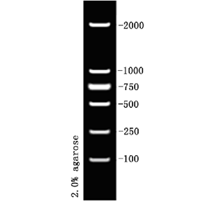 D2000 DNA Ladder