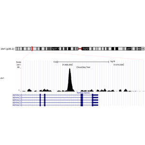 ChIP-seq