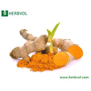 Turmeric Extract