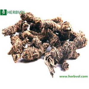 Valerian Extract