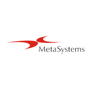 Metasystems