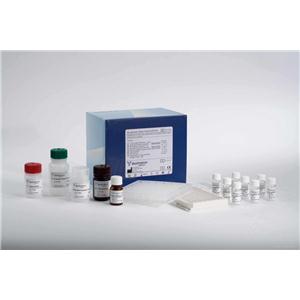 Human CA724 ELISA Kit