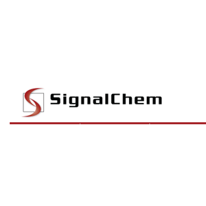 FAM Labeled Negative Control siRNA