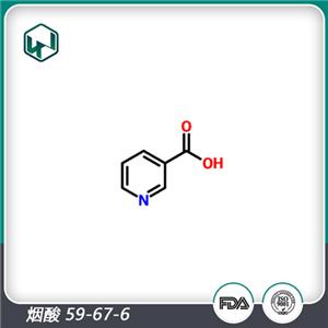 煙酸