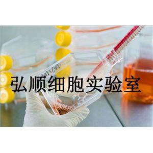 H3396 Cells|人乳腺癌貼壁細胞