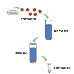 非凍型拭子病毒保存液，核酸檢測專用（未分裝）