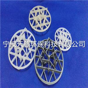 PVDF DN95雪花環(huán)填料