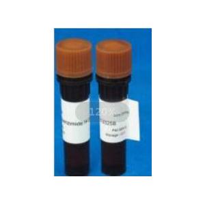 Agarose Gel Loading Buffer-Glycerol/Double Blue（甘油型雙藍色DNA上樣液），6×