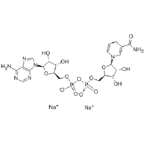 β-煙酰胺腺嘌呤二核苷二鈉